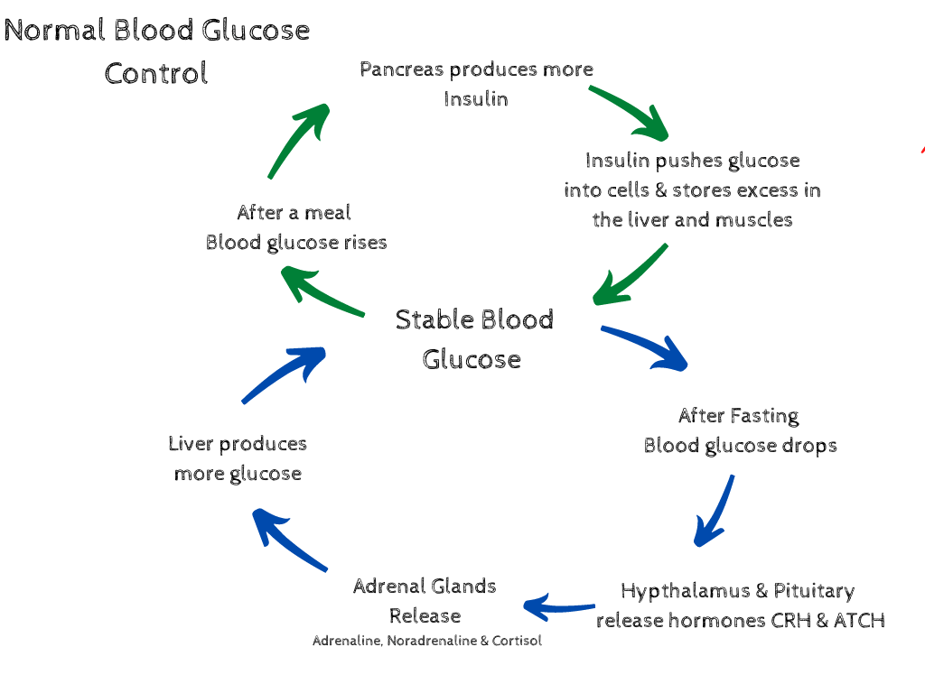 Glucose stability factors